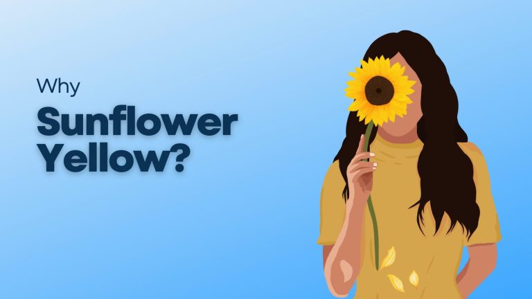 Why is a sunflower yellow
